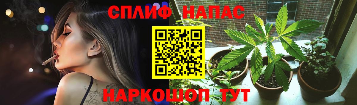 Бошки марихуана семена Алатырь